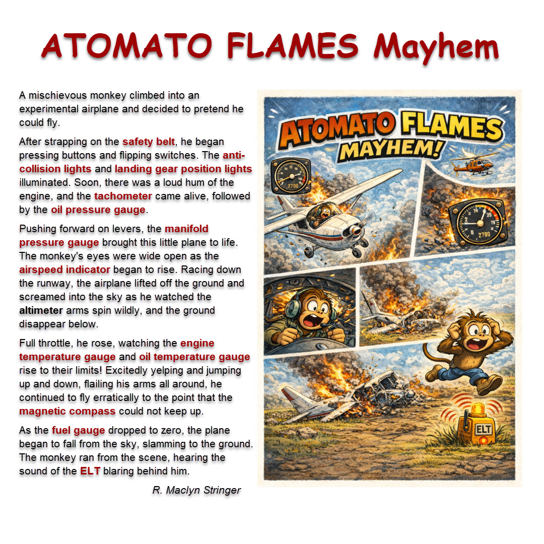 ATOMATO FLAMES Aviation VFR required daytime equipment per FAR 91.205(b)
